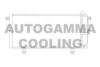 AUTOGAMMA 105083 Condenser, air conditioning